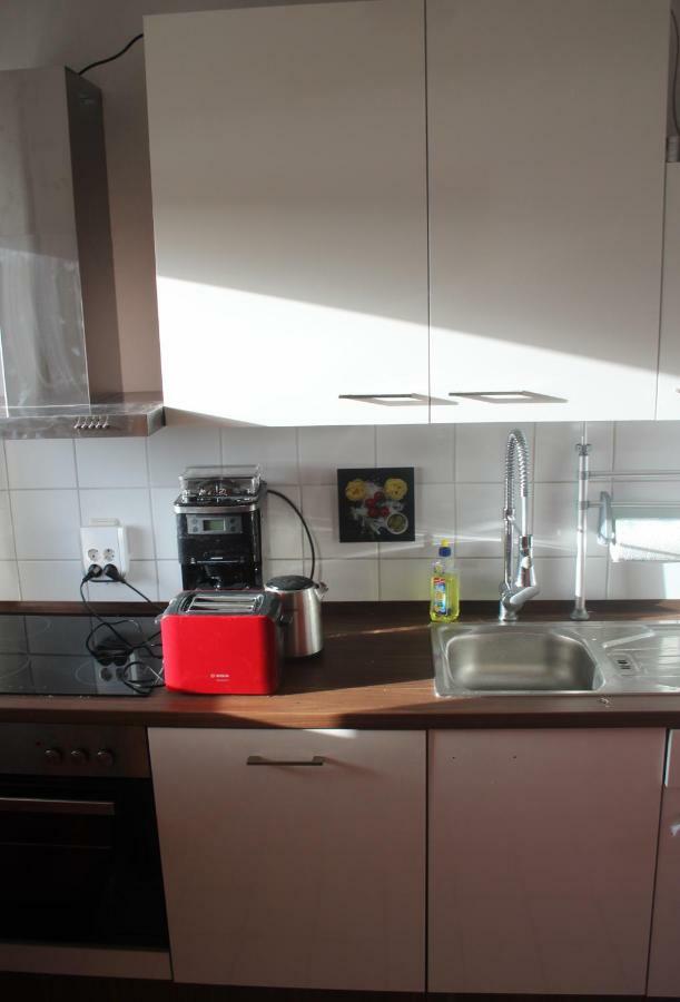 Ziebigk Appartement Deluxe Dessau-Rosslau Esterno foto