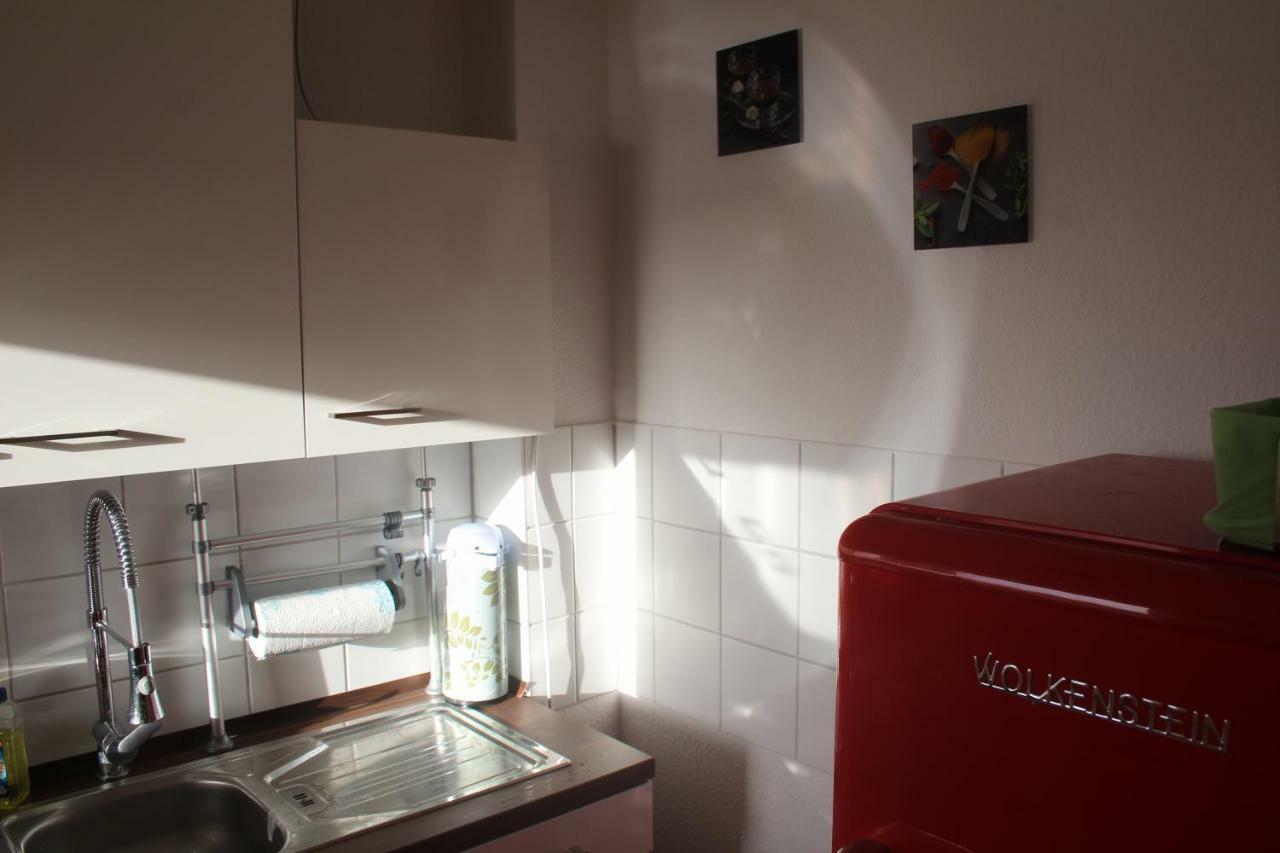 Ziebigk Appartement Deluxe Dessau-Rosslau Esterno foto